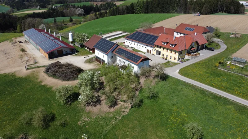 Hof – Einblick 2