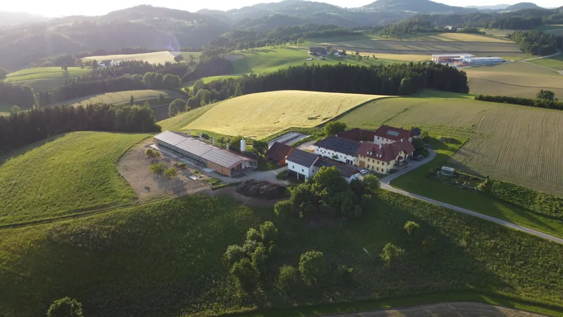 Hof – Einblick 3