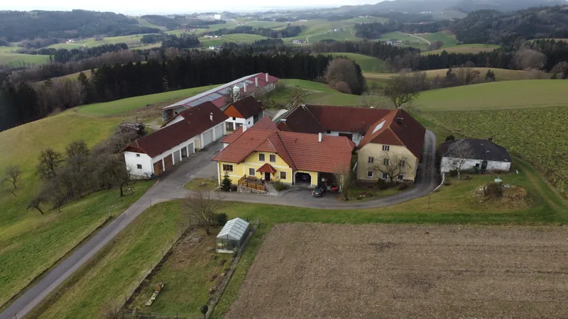 Hof – Einblick 5