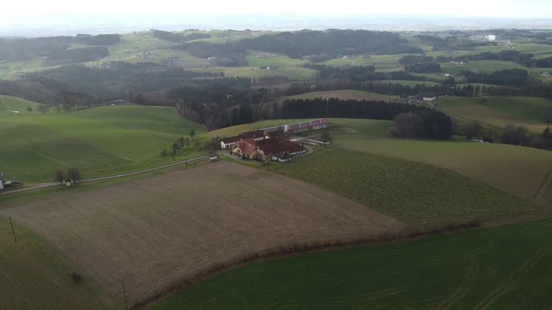 Hof – Einblick 6