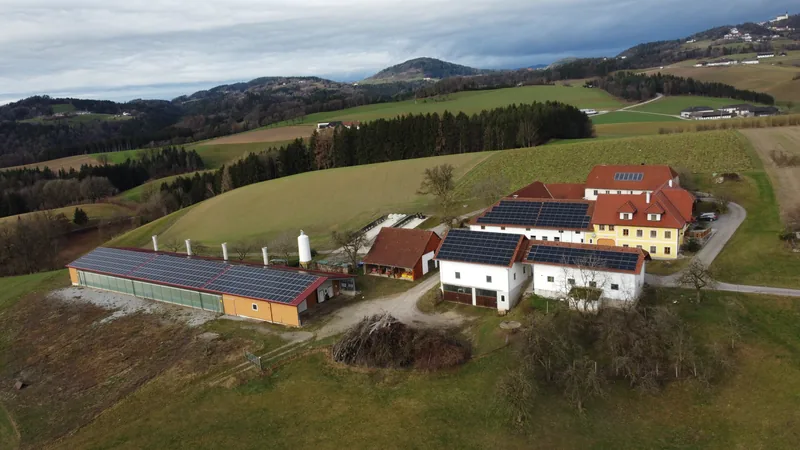 Hof – Einblick 8